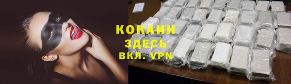 бошки Ладушкин