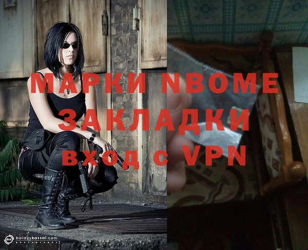 бошки Ладушкин
